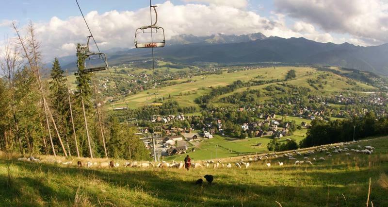 Zakopane - Harenda 13Eアパートメント エクステリア 写真