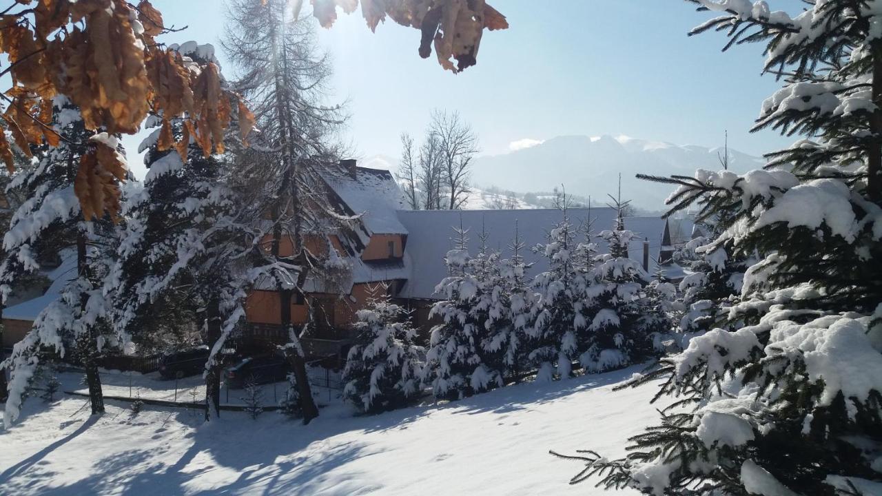 Zakopane - Harenda 13Eアパートメント エクステリア 写真